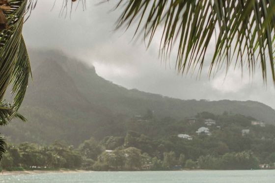 A joyful wedding moment in the Seychelles