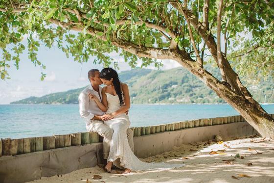 A seated kiss on a low sea wall beneath a takamaka tree