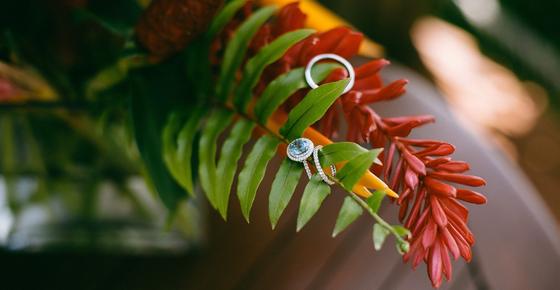 Two wedding rings resting on a red ginger flower